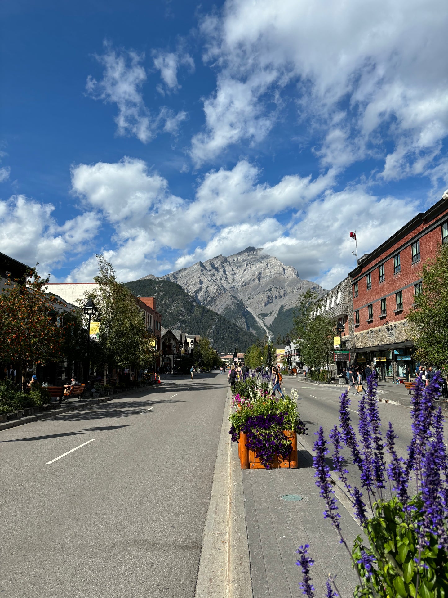 Rockies & Beyond – 21-Day Western Canada Expedition