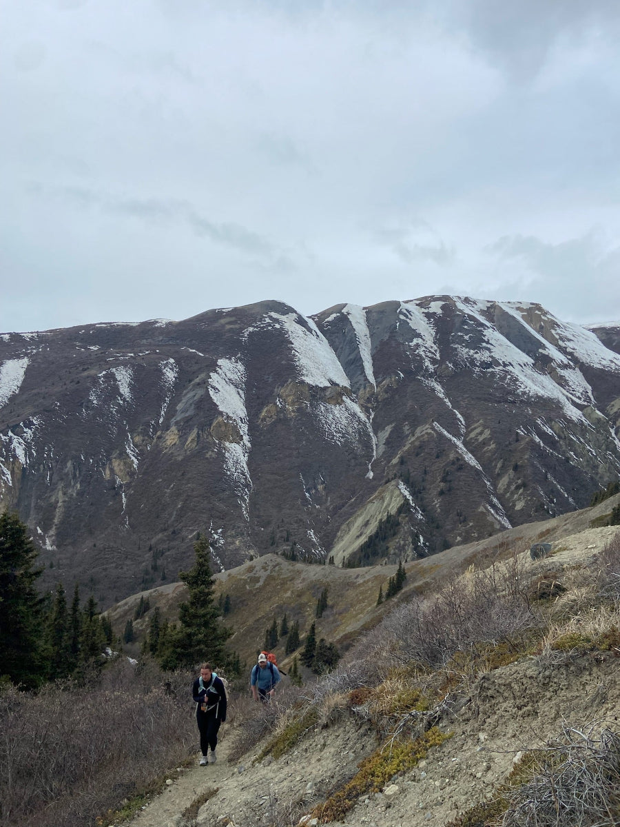 Hiking Sheep Creek Trail, Kluane National Park