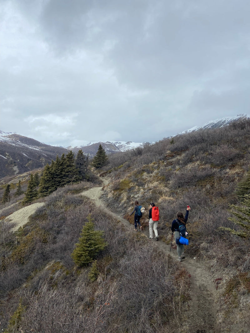 Hit the Trail: Day Hikes & Custom Backpacking Trips in the Yukon