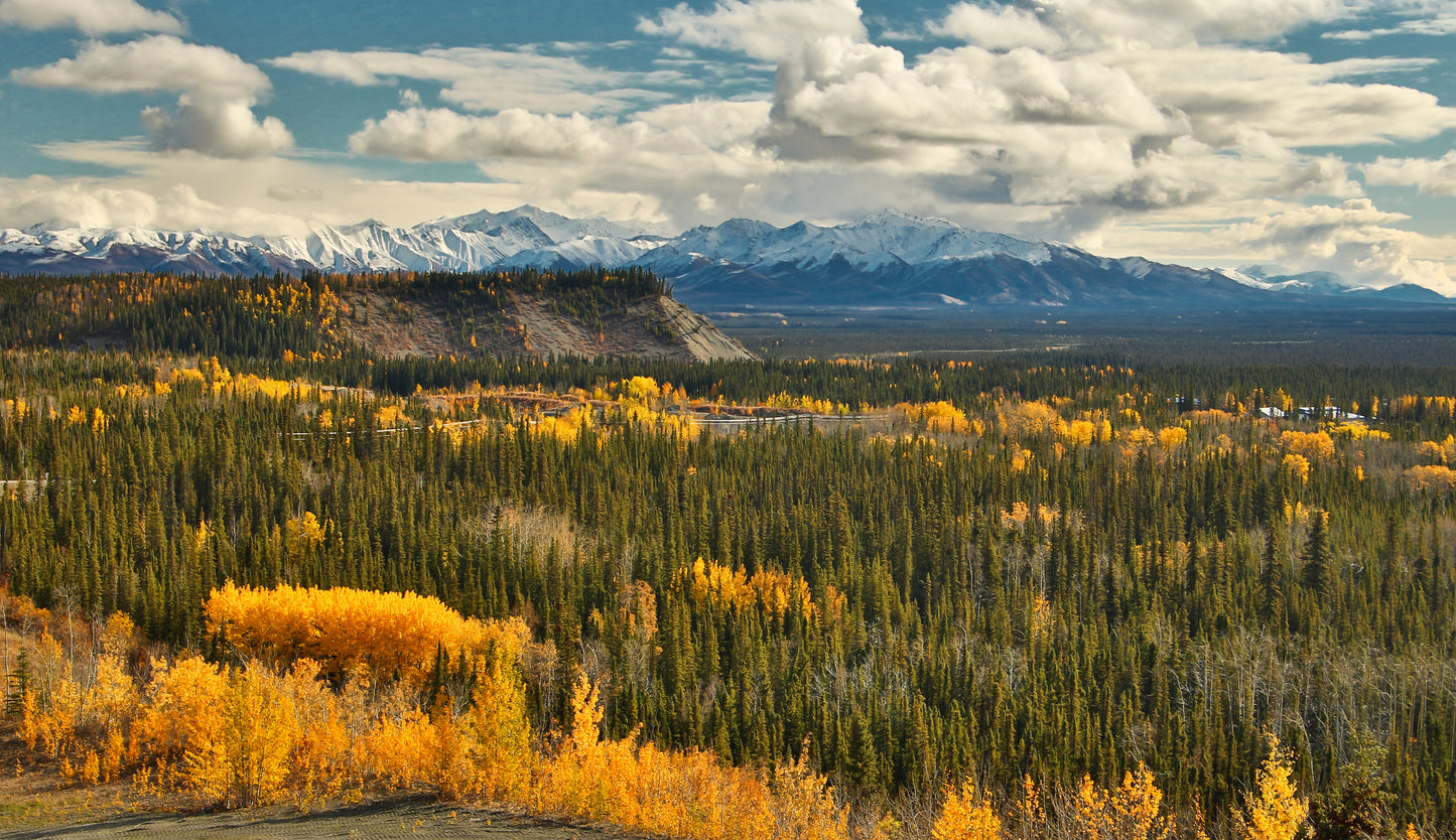 Last Light | 8-Day Yukon Autumn Expedition
