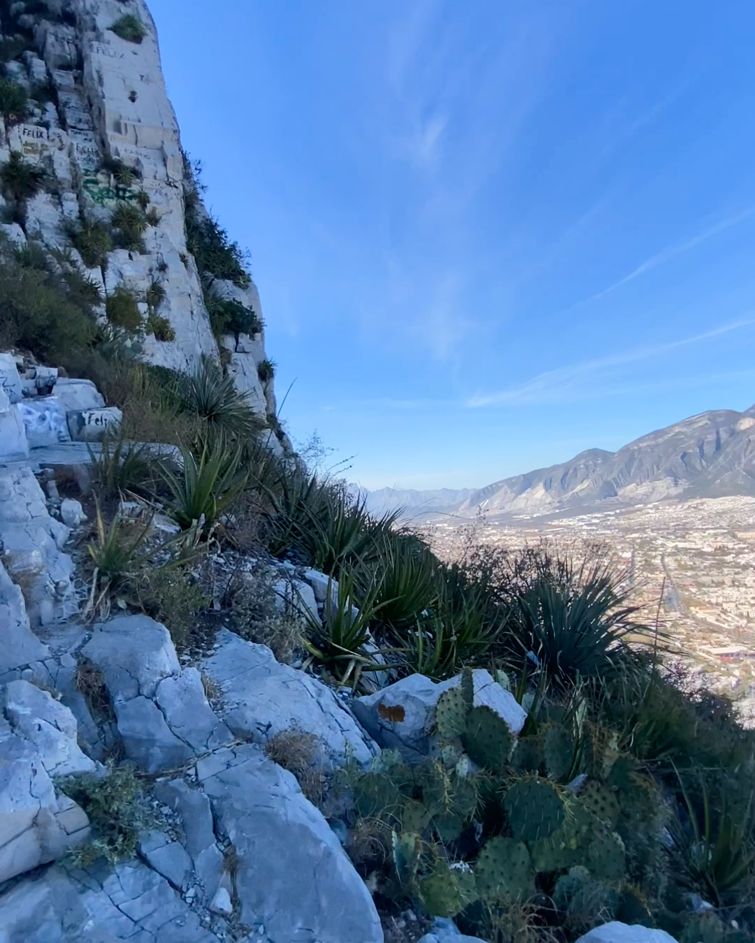 Scenic view of a mountainous landscape with cacti and a clear blue sky.
