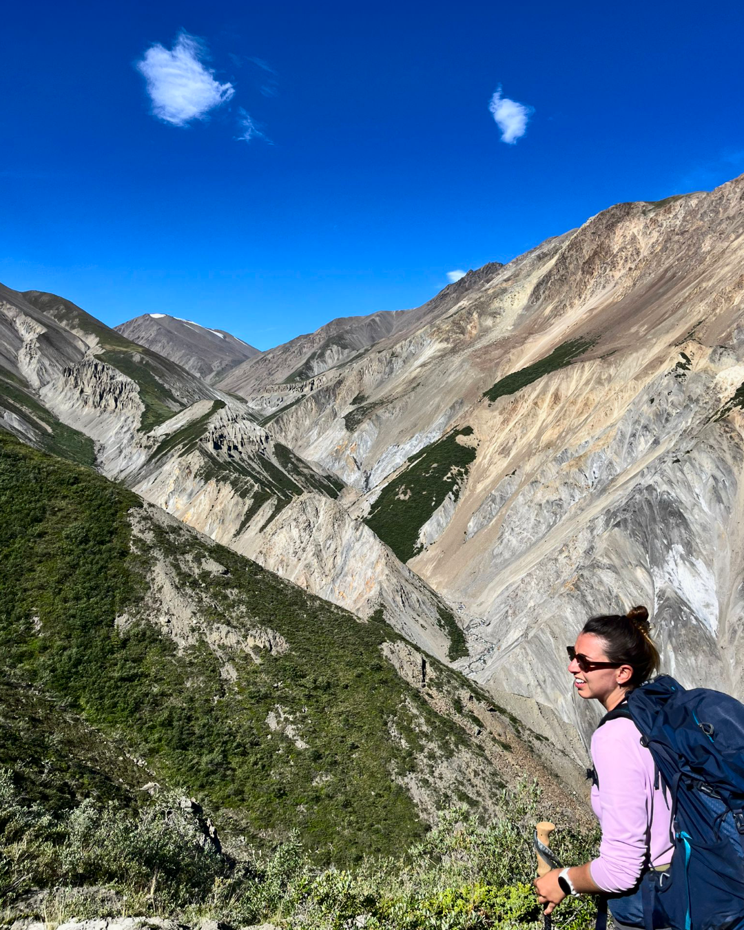 3-Day Kluane Glacier Backpacking Expedition (Slim's River (A'ay Chu) West)