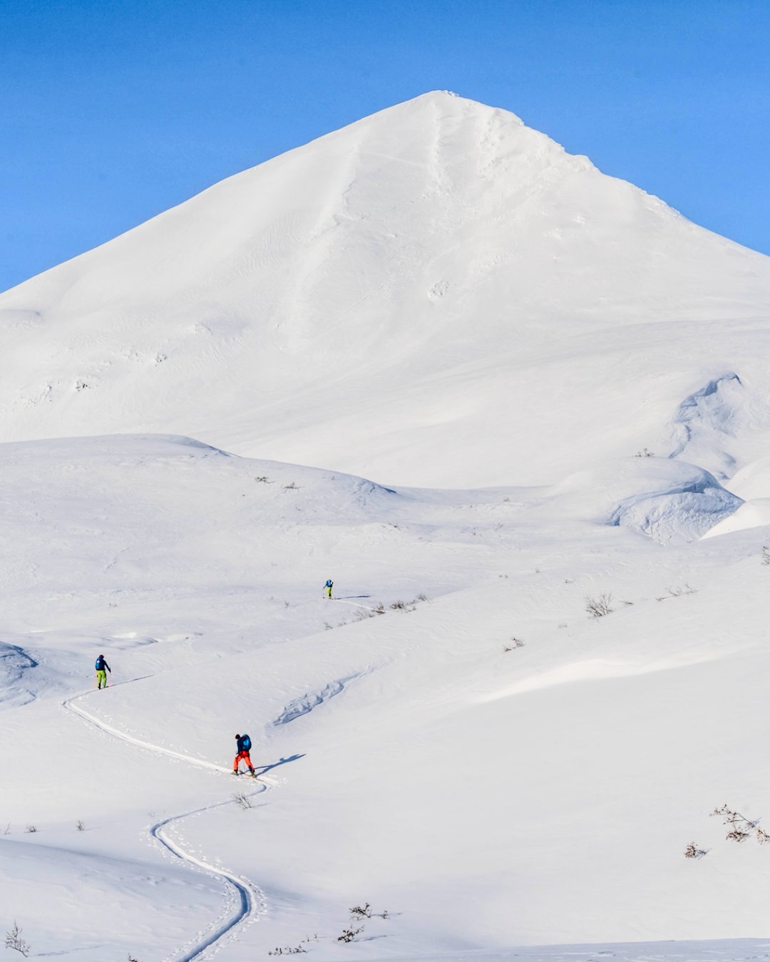 Yukon Winter