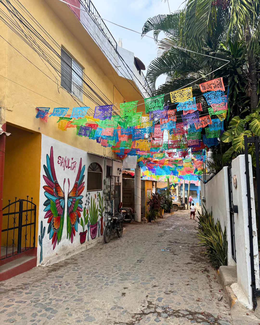 Mexico Volcano Expedition: Pico de Orizaba & Summit to Surf