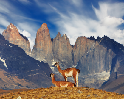 Patagonia Expedition: Torres del Paine O Trek & Fjord Packrafting