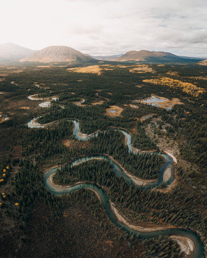Aerial view of a winding river through a forested landscape with mountains in the background.