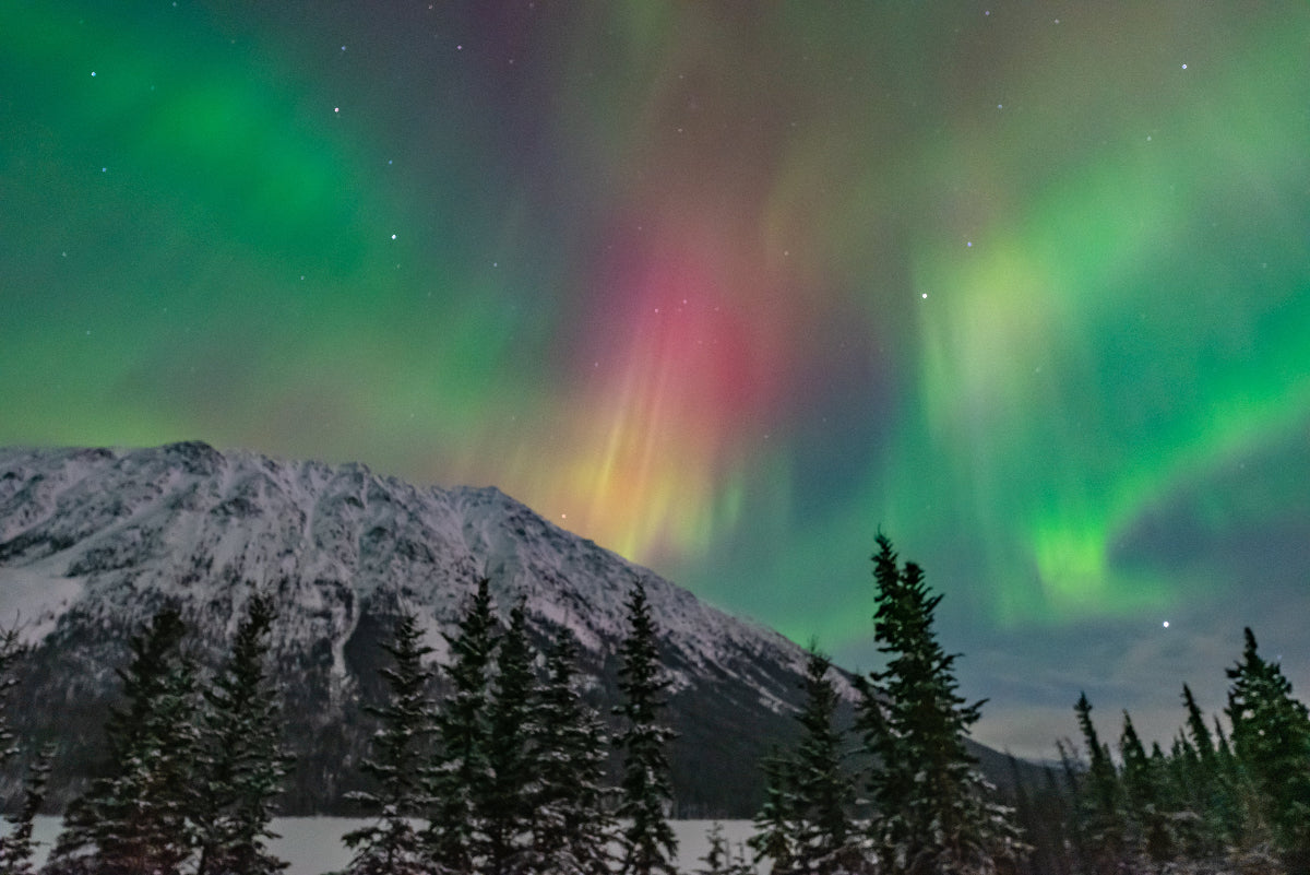 Northern lights in the mountains winter Yukon