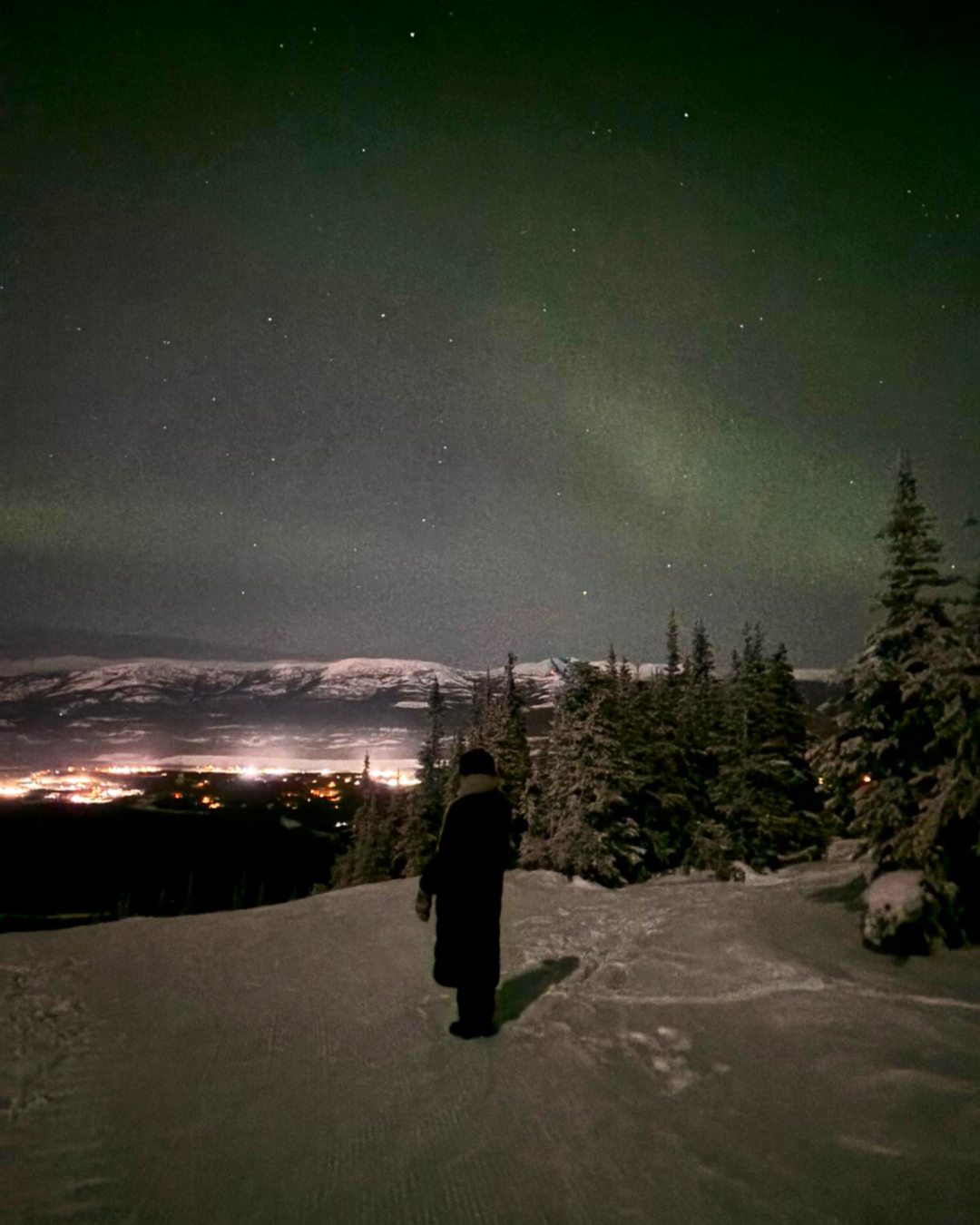 Person standing on a snowy landscape under a starry night sky with the aurora borealis.