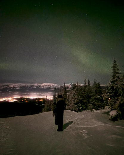 Person standing on a snowy landscape under a starry night sky with the aurora borealis.