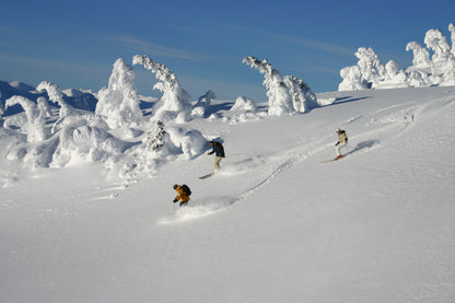 Three skiers on a snowy slope with snow-covered trees under a clear blue sky.