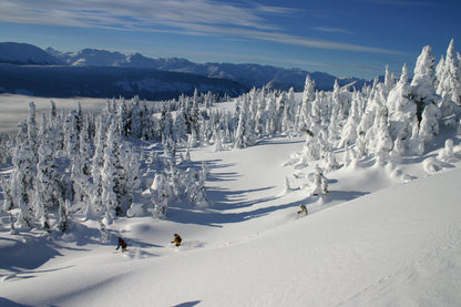 Two skiers on a snowy slope with snow-covered trees and mountains in the background.