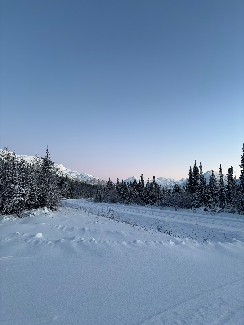 A snowy landscape with a road and trees in the background, under a clear blue sky, during a winter expedition. Driving the legendary Dempster Highway in the Yukon.