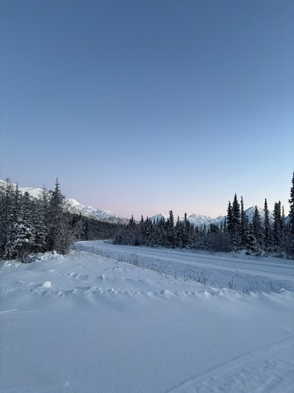 A snowy landscape with a road and trees in the background, under a clear blue sky, during a winter expedition. Driving the legendary Dempster Highway in the Yukon.