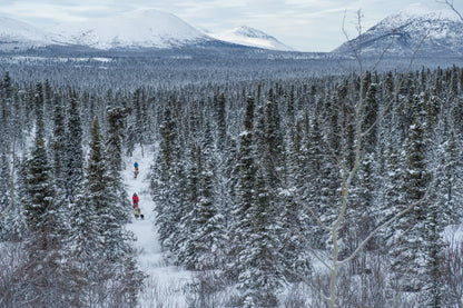 Two people dogsledding on a snowy trail through a forest in the Yukon with snow-covered mountains in the background.