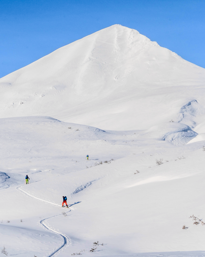 Two skiers on a snowy mountain slope with a clear blue sky above.
