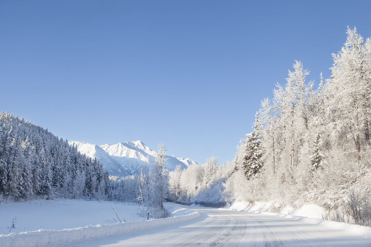 Haines road Kluane Yukon