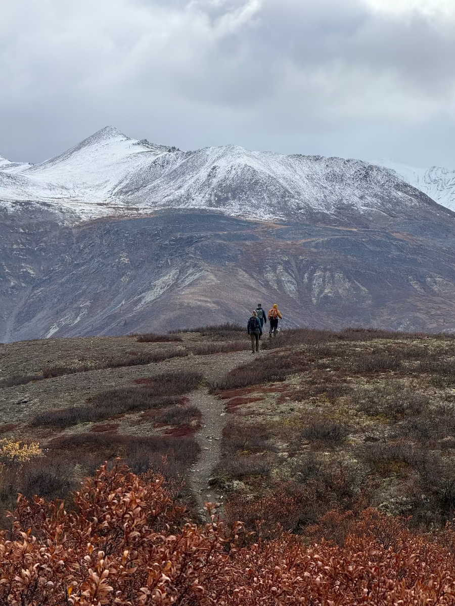 Hikers in Tombstone Territorial Park Yukon in the fall with red tundra
