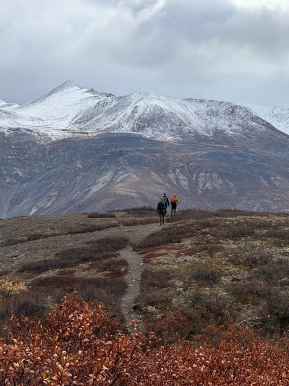 Hikers in Tombstone Territorial Park Yukon in the fall with red tundra