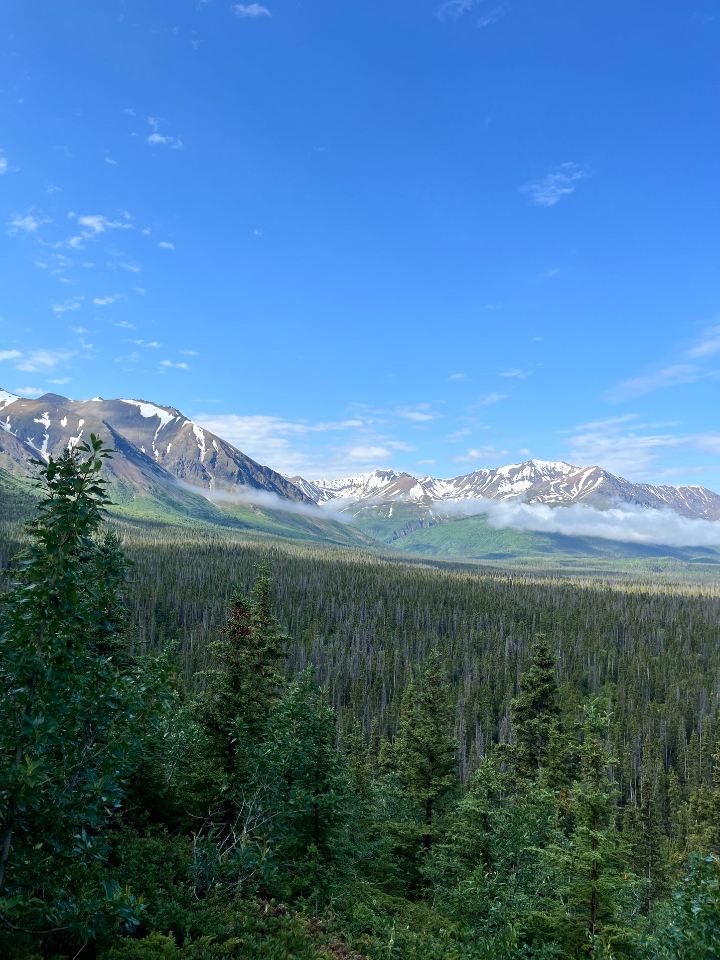 5-Day Yukon Vanlife Escape (Kluane National Park Area)