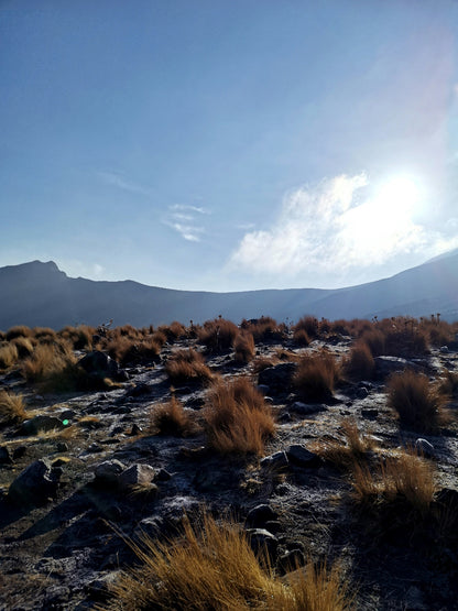 Volcano Trilogy: Climb Mexico’s Three Giants – Summit to Surf