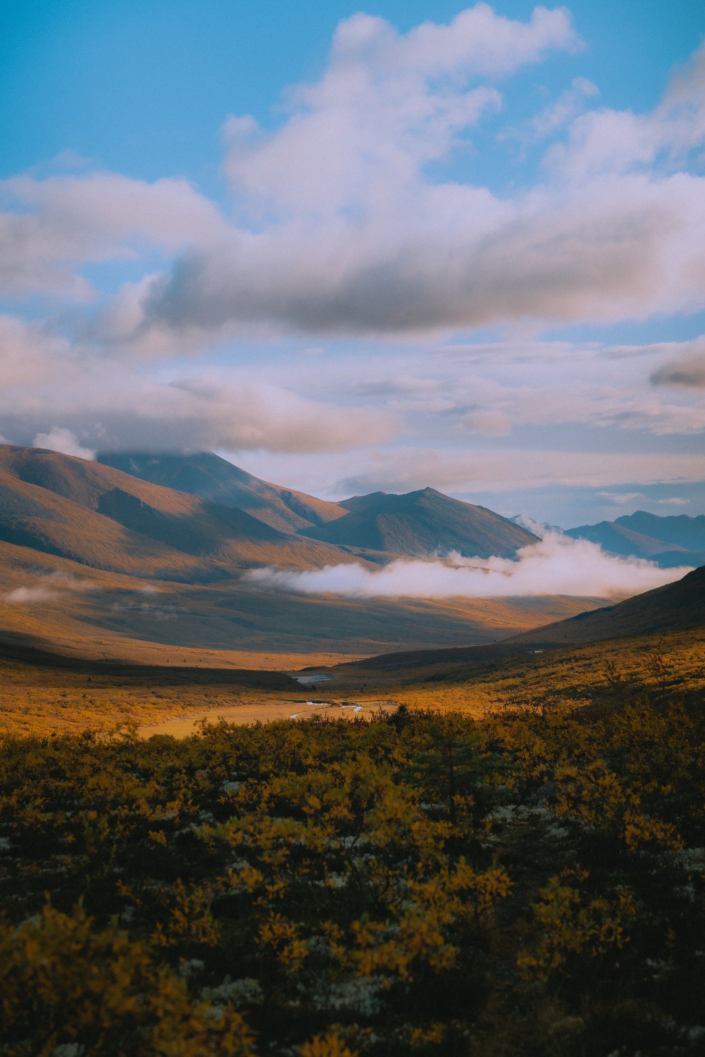 Tombstone Lakes Circuit: 7-Day Trek via Grizzly, Divide & Talus