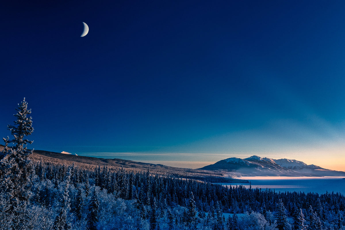 Winter landscape purple sky and moon Yukon Canada