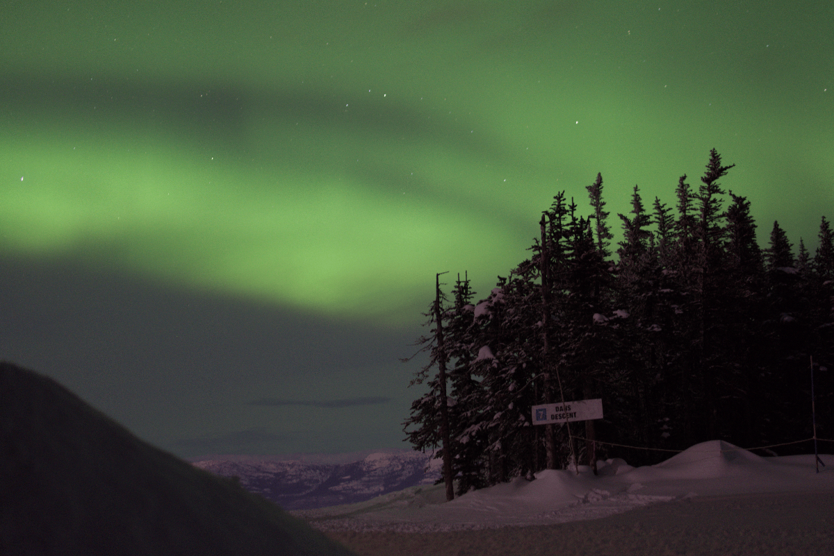 Aurora borealis over a snowy landscape with trees and a sign.