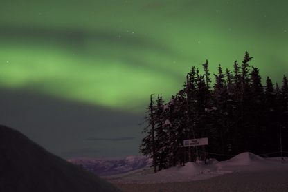 Aurora borealis over a snowy landscape with trees and a sign.