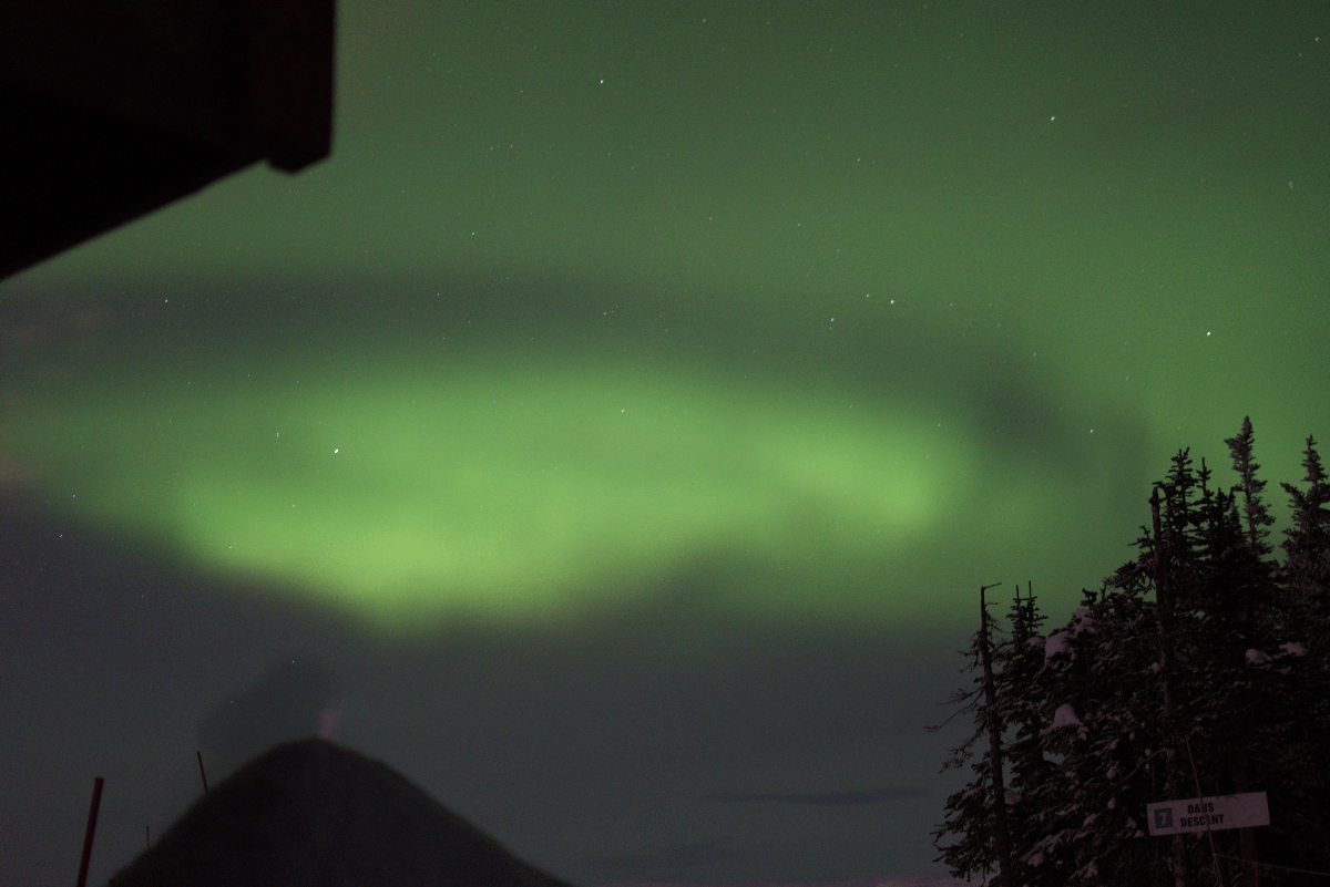 Green aurora borealis in a dark sky with trees and a building silhouette.
