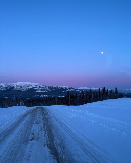 Pink winter sky road Whitehorse Yukon