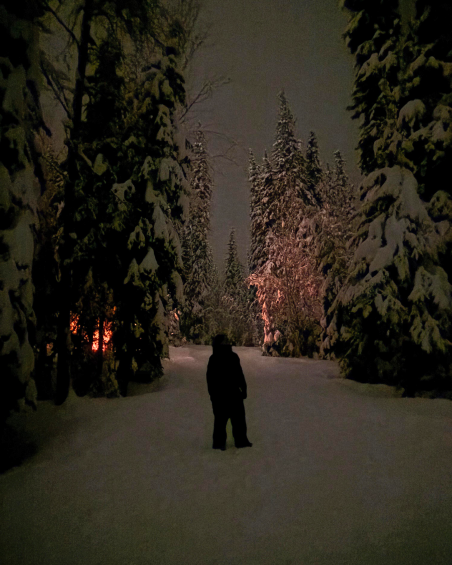 Person standing in a snowy forest at night with trees illuminated by warm light.