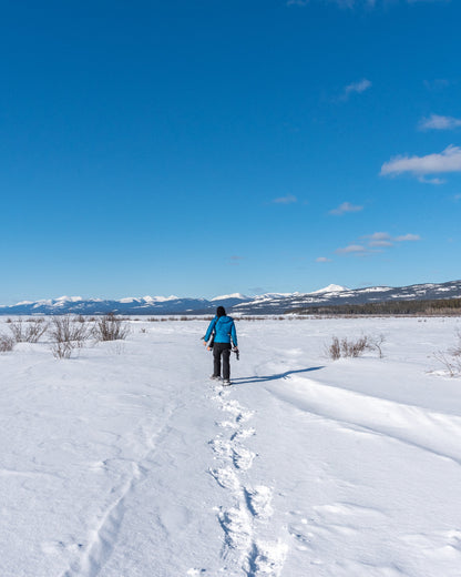 Person snowshoeing Kluane Yukon Canada