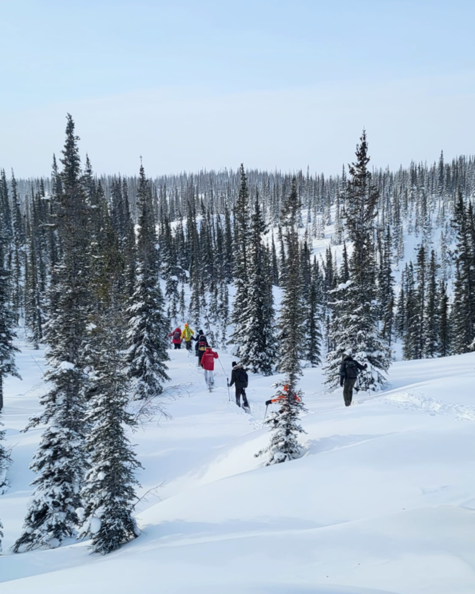 Group of people snowshoeing through a snowy forest with a mountainous background.