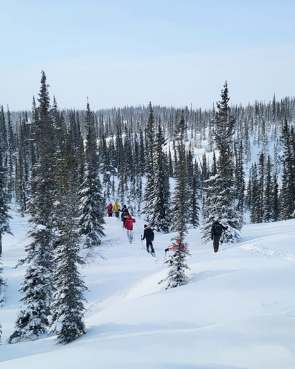 Group of people snowshoeing through a snowy forest with a mountainous background.