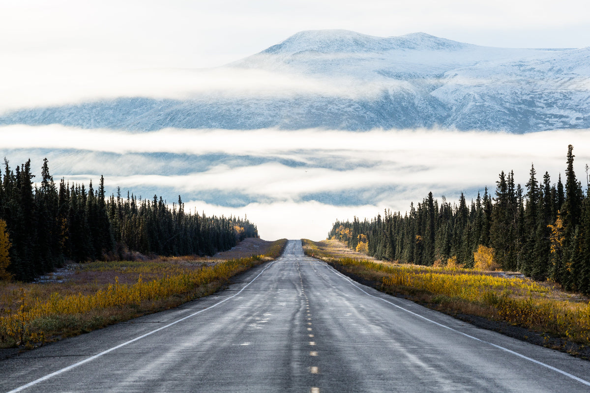Fall in the Yukon with first snow on the mountains