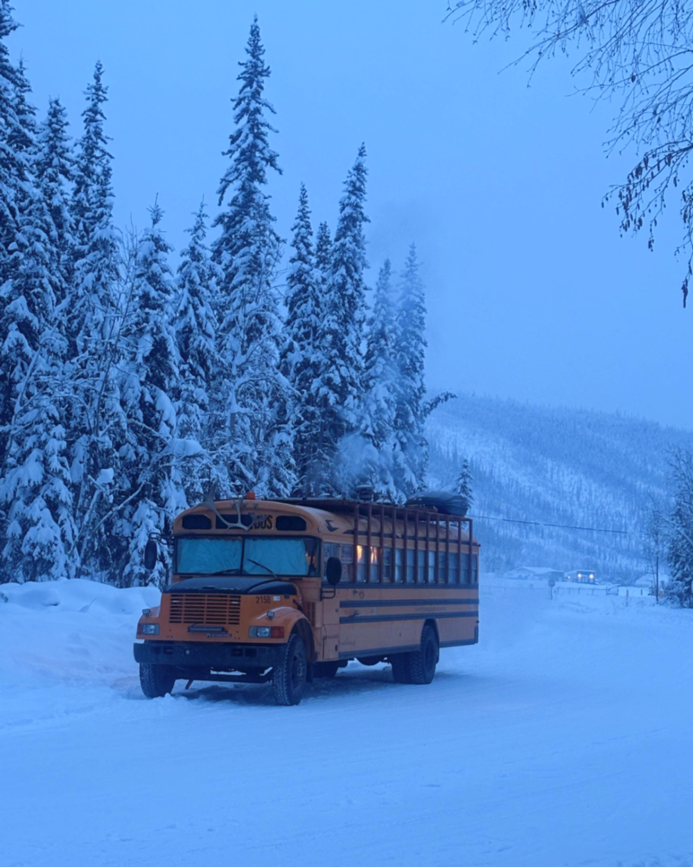 Our converted school bus in a snow covered tree landscape in the Yukon