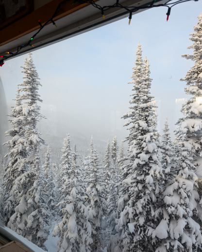 Snow-covered trees viewed from inside a mountain hut with a clear blue sky.