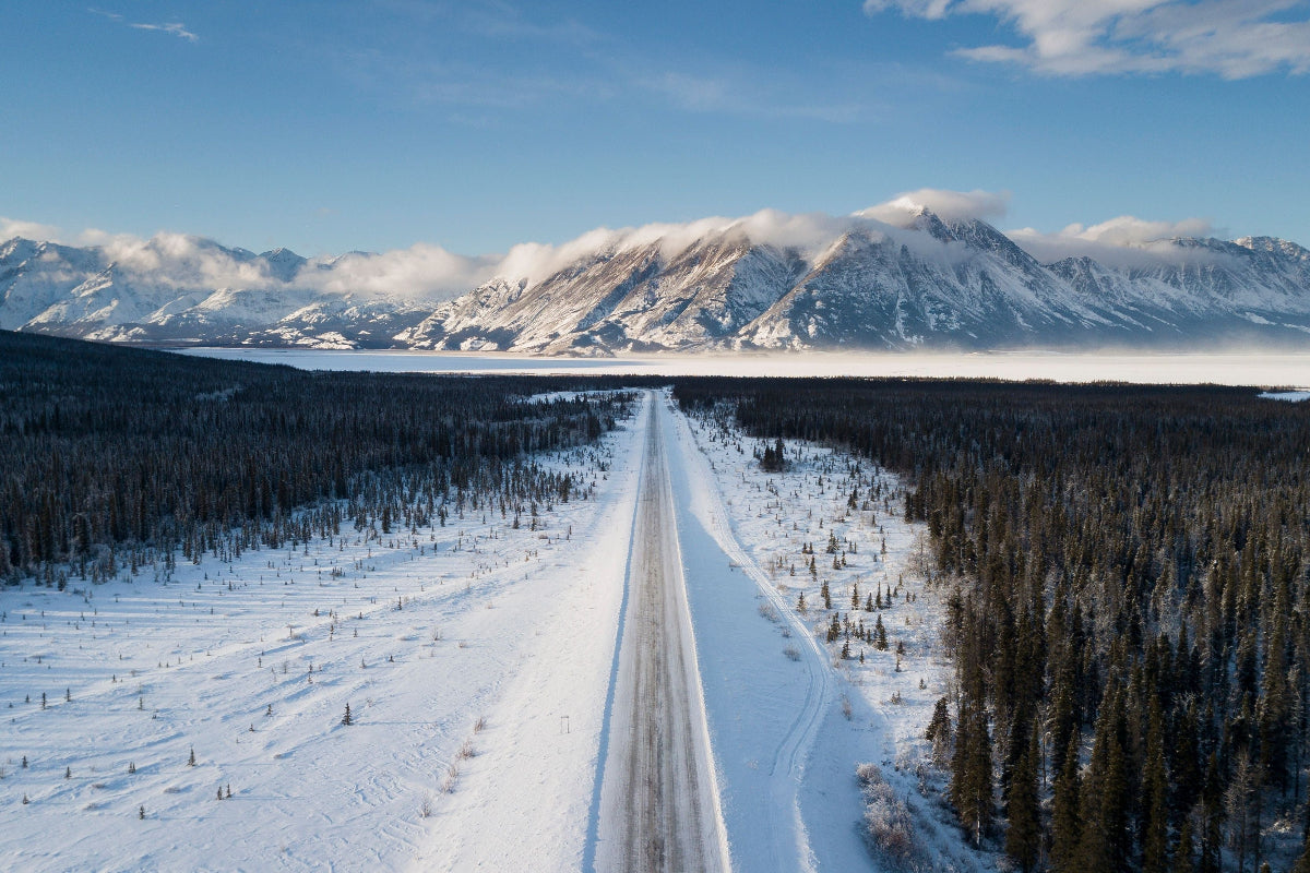Snowy forest road in winter Yukon