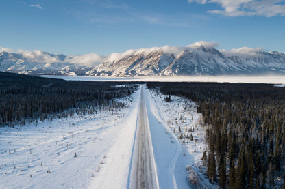 Snowy forest road in winter Yukon