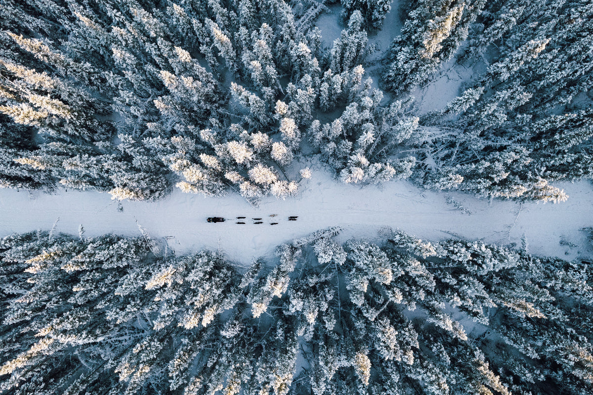 Aerial view of a snowy forest with a path leading through it.