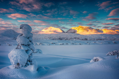 Winter landscape North Canada, Yukon