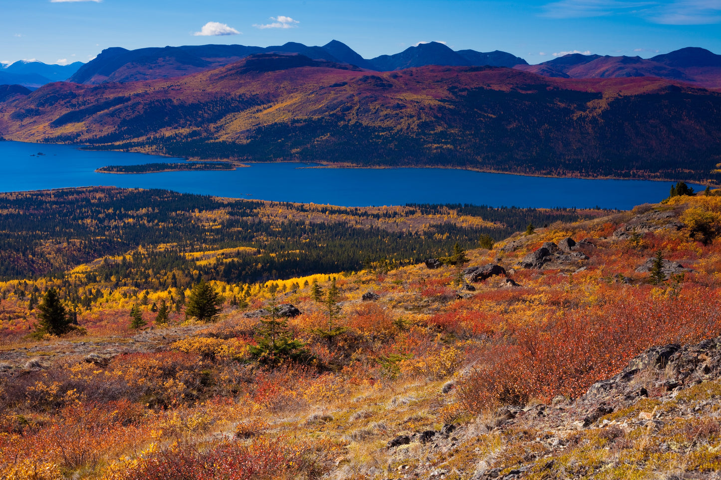 Last Light | 8-Day Yukon Autumn Expedition