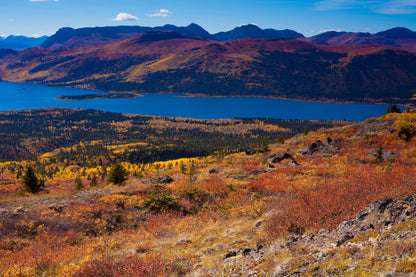 Last Light | 8-Day Yukon Autumn Expedition