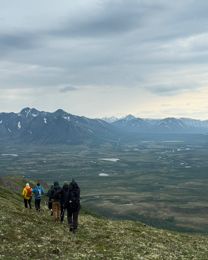 Hiking group walking across a wide open Yukon valley