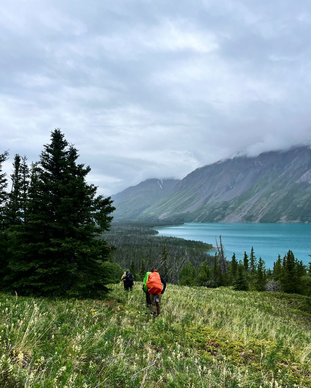 6-Day Guided Cottonwood Trail Adventure | Hiking in Kluane National Park | Yukon