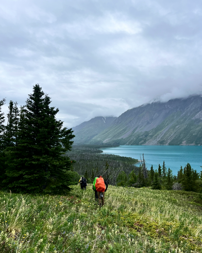 6-Day Guided Cottonwood Trail Adventure | Hiking in Kluane National Park | Yukon