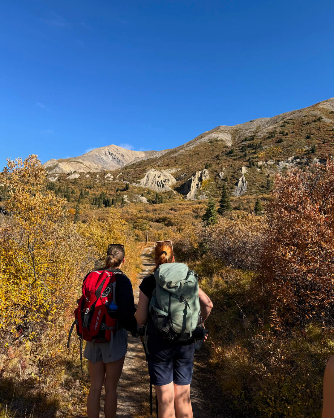 5-Day Kluane Yukon Guided Hiking Adventure