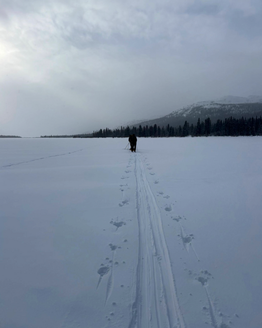 Cross-Country Ski Adventure on a Frozen Lake