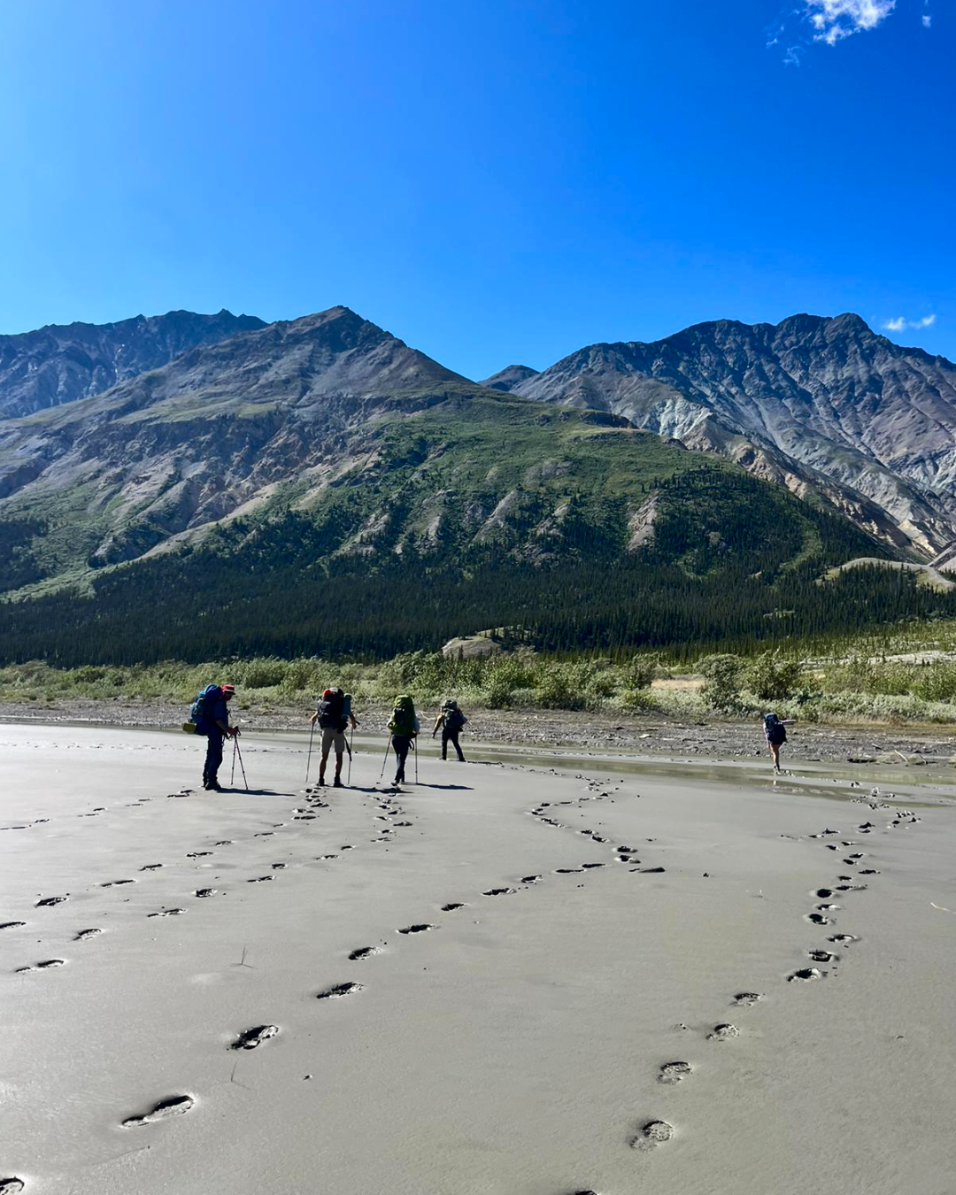 3-Day Kluane Glacier Backpacking Expedition (Slim's River (A'ay Chu) West)