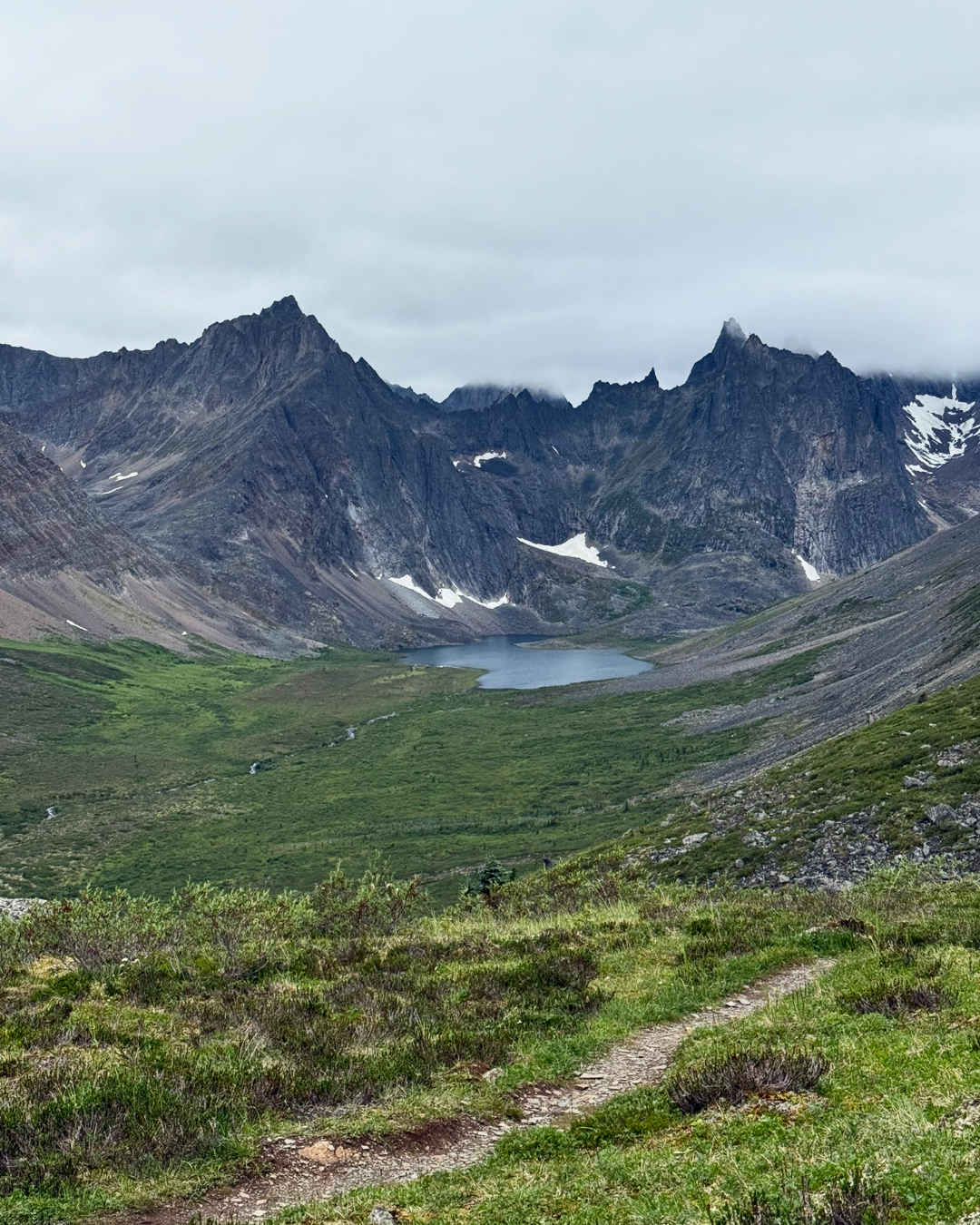 Tombstone Lakes Circuit: 7-Day Trek via Grizzly, Divide & Talus